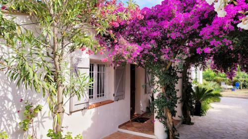 Villa Saray