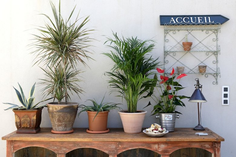 Bed & Breakfast Justin De Provence