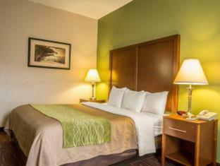 Hotel Comfort Inn Asheville Airport