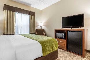 Hotel Comfort Inn Asheville Airport