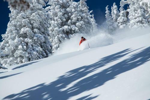 Alta's Rustler Lodge