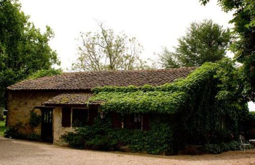 Apartamento Chateau Camp Del Saltre