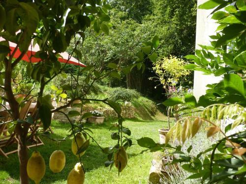 Agroturismo Domaine Du Val D'atur