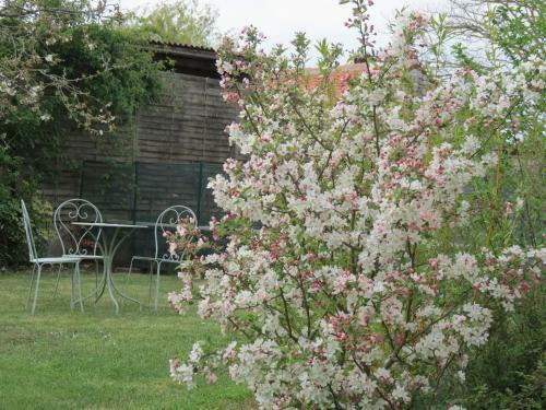 Bed & Breakfast L'aubinoise
