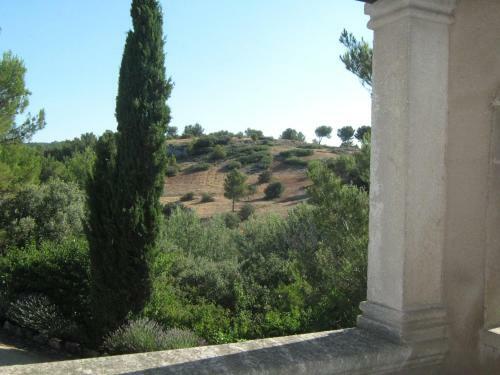 Les Garrigues De La Vall�e Des Baux