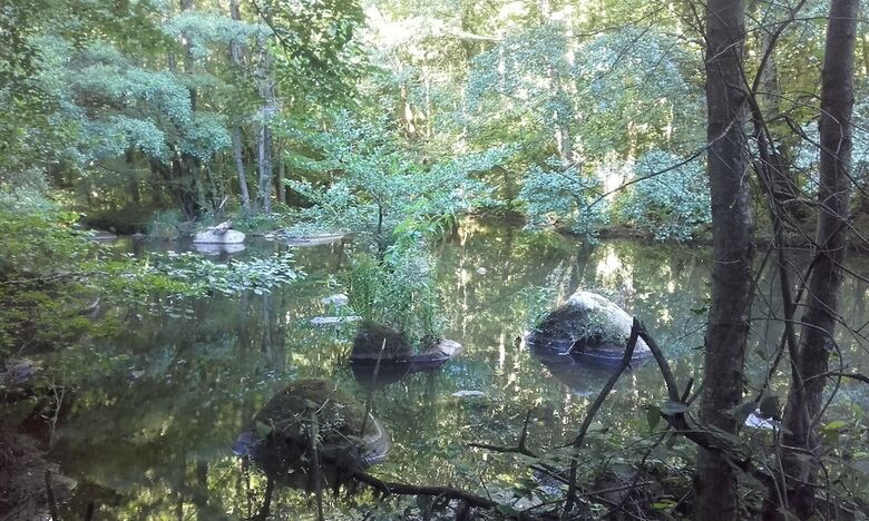 Moulin De Record