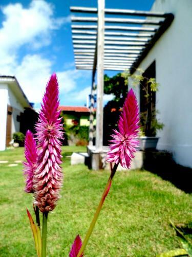 Hostal Pousada Enseada Dos Saveiros