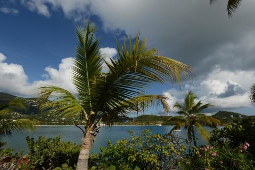 Hotel Best Western Carib Beach Resort