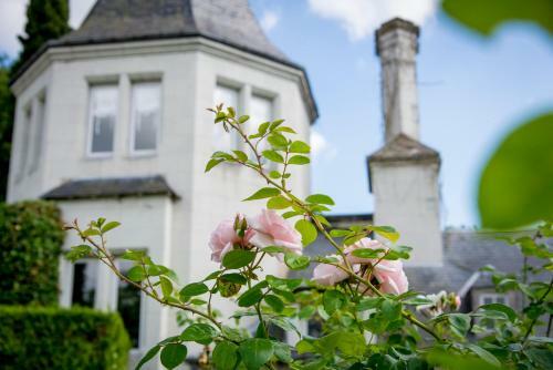 Bed & Breakfast Chambres D'h�tes Manoir De Montecler
