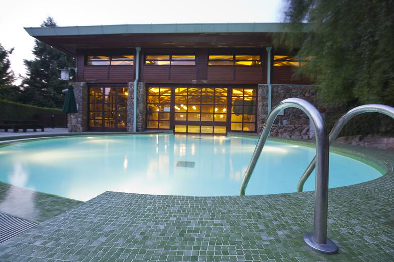 Hotel Disney's Sequoia Lodge�