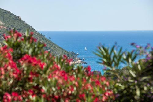 Bed & Breakfast La Demeure Insoup�onn�e