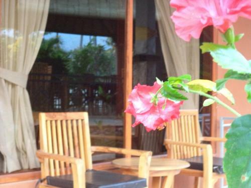 Hostal My Lovina Villa