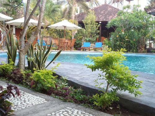 Hostal My Lovina Villa