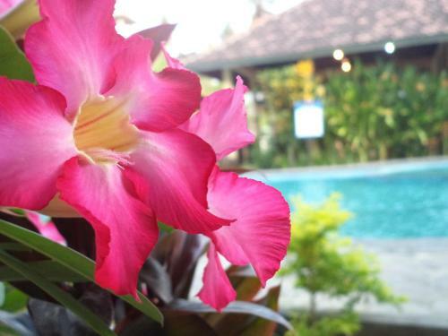 Hostal My Lovina Villa