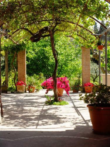 L'upupa B&B