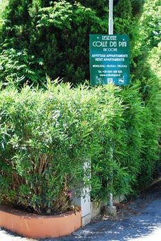 Aparthotel Residenze Al Colle Dei Pini