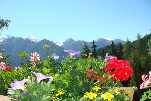 Apartamento Pension Alpenrose