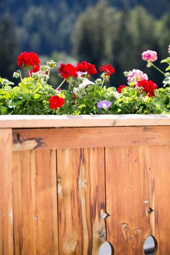 Apartamento Pension Alpenrose