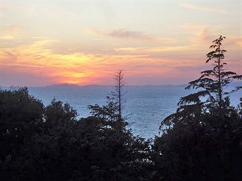 Bed & Breakfast Domus San Vincenzo