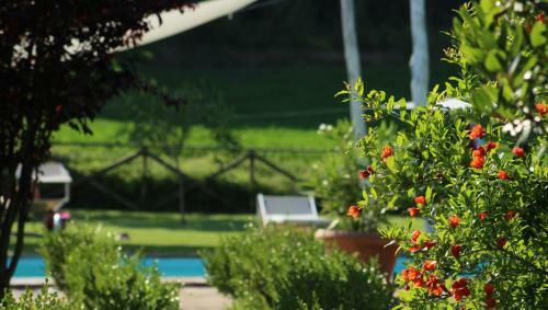 Agroturismo L'ariete