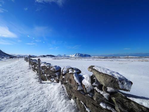 Lofoten Hillside Lodge