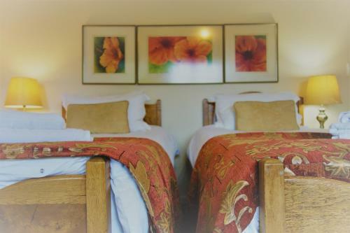 Hostal Cherry Berry Guest House