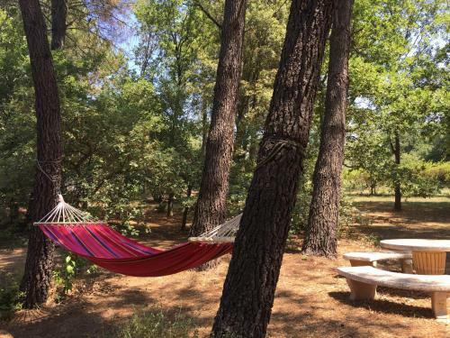 Bed & Breakfast Le Clos Des Cigales