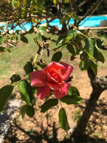 Bed & Breakfast Le Clos Des Cigales