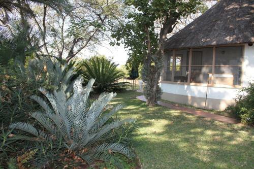 Agroturismo Kiaat Bungalows