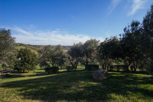 Agroturismo Agriturismo Echi D'etruria