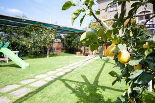 Bed & Breakfast Villa De Angelis