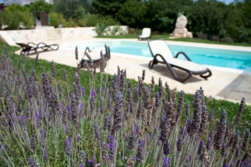 Agroturismo Antica Aia B&B