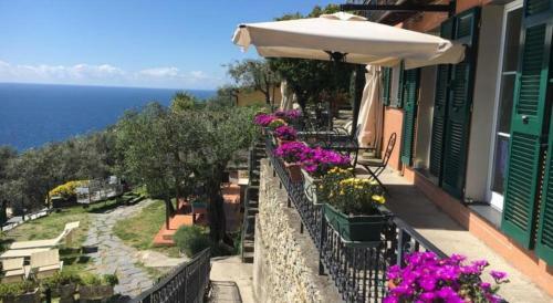 Agroturismo Agriturismo Le Pale