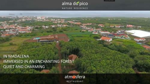 Apartamento Alma Do Pico