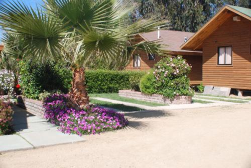 Hotel Caba�as Punta De Tralca