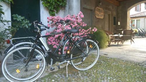 Bed & Breakfast Leon D'oro