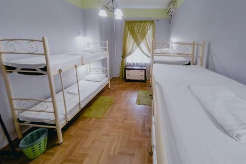 Olive Hostel