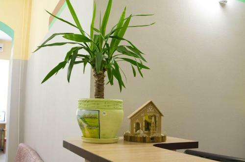 Olive Hostel