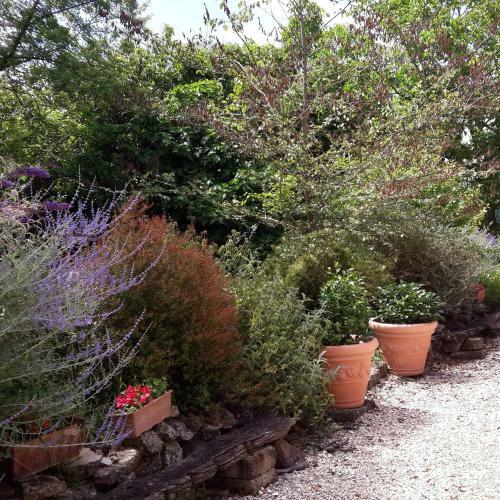 Agroturismo Casa Vacanze Le Corone
