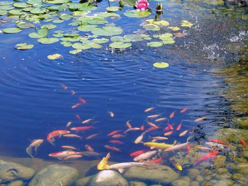 Hotel Les Jardins D'ep�ne