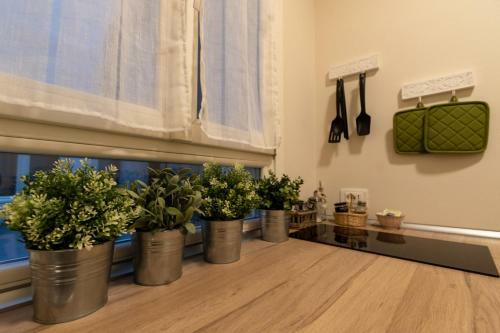 Apartamento Emilei