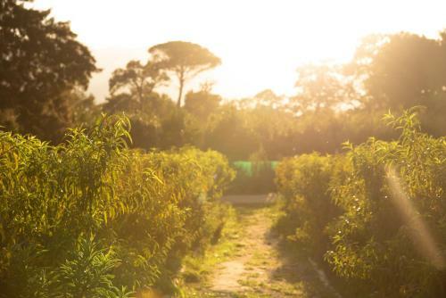 Agroturismo Boschendal Cottages