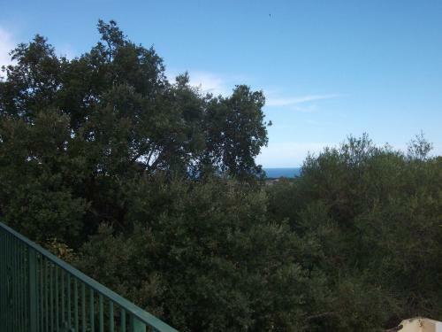 Agroturismo L'ulivo