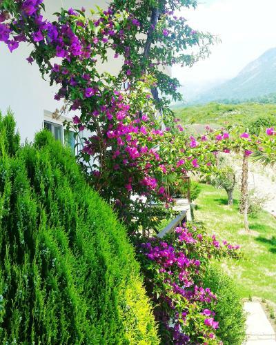 Hotel Summer Dream