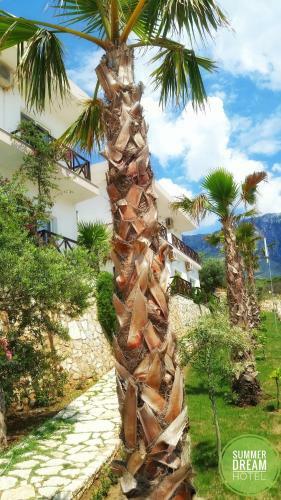 Hotel Summer Dream