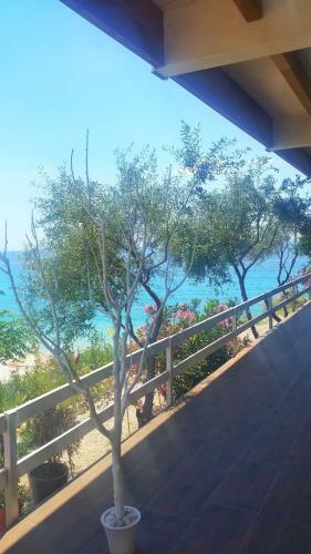 Hotel Summer Dream