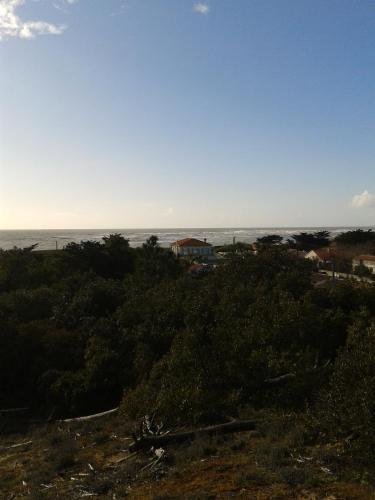 Hotel H�tel De La Petite Plage