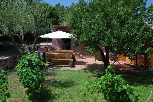 Bed & Breakfast Case Zuccaro