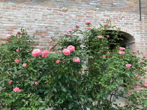 Agroturismo Blue Garibaldi Room & Breakfast