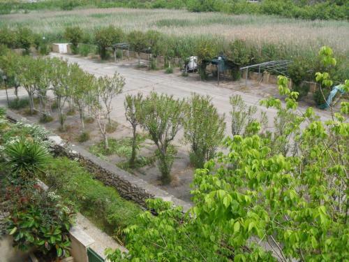 Apartamento Bilocali Baia Verde